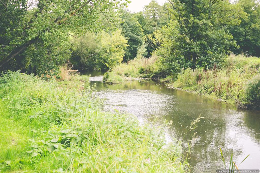 Weycroft Mill House Bed And Breakfast Axminster Esterno foto