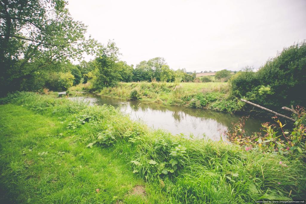 Weycroft Mill House Bed And Breakfast Axminster Esterno foto